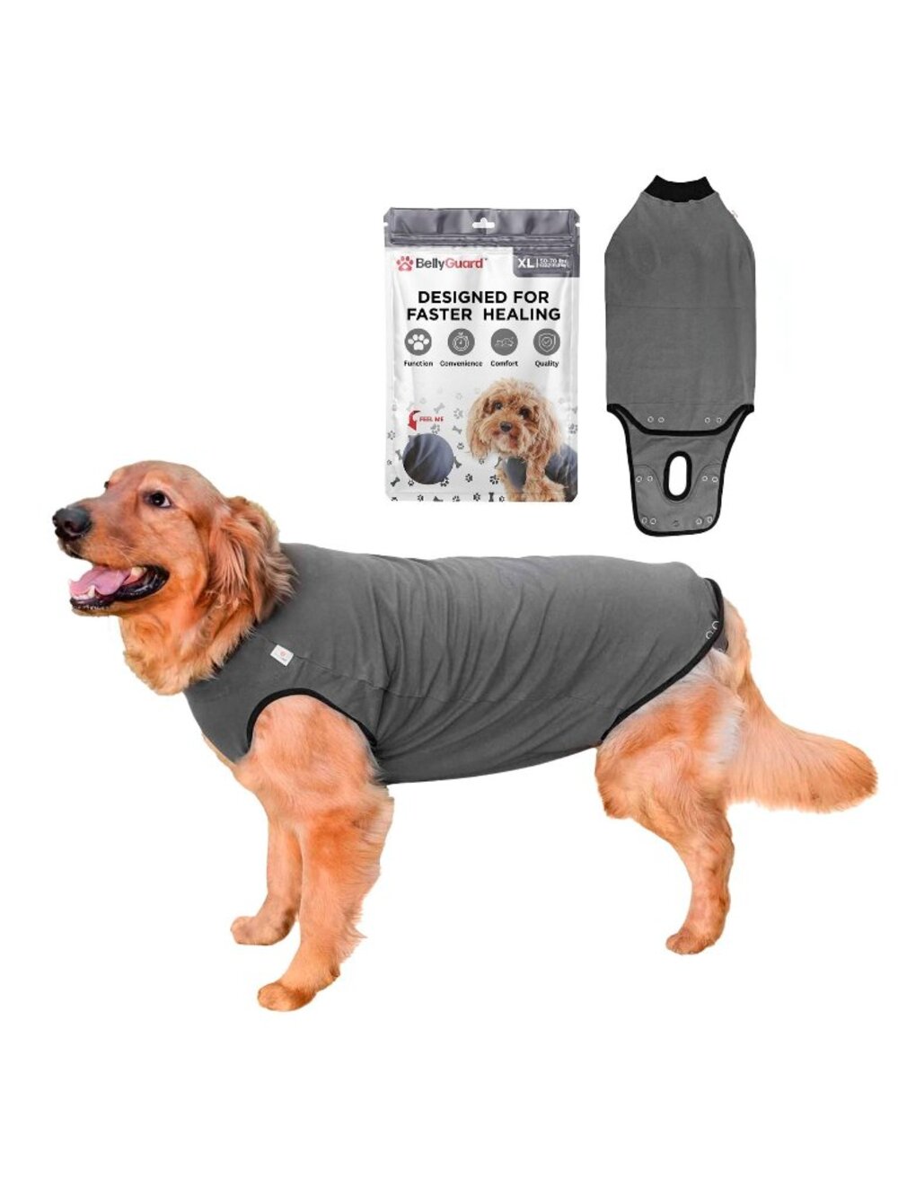 BellyGuard D-L SZ "L" Dog Surgery Recovery Suit, Male Female After Spay Neuter